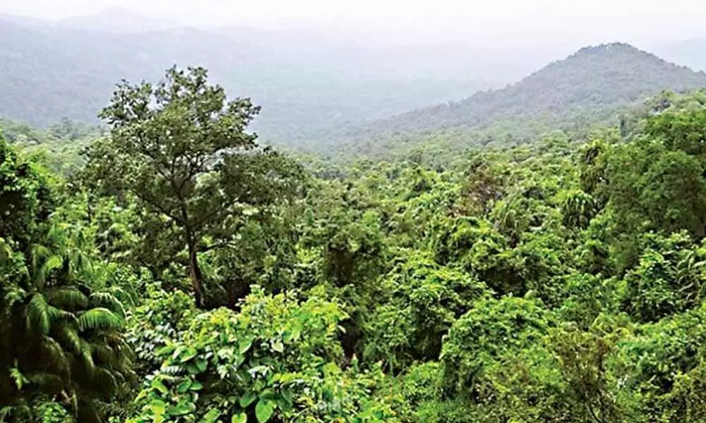 Karnataka to denotify 6,64,000 hectares of deemed forest land