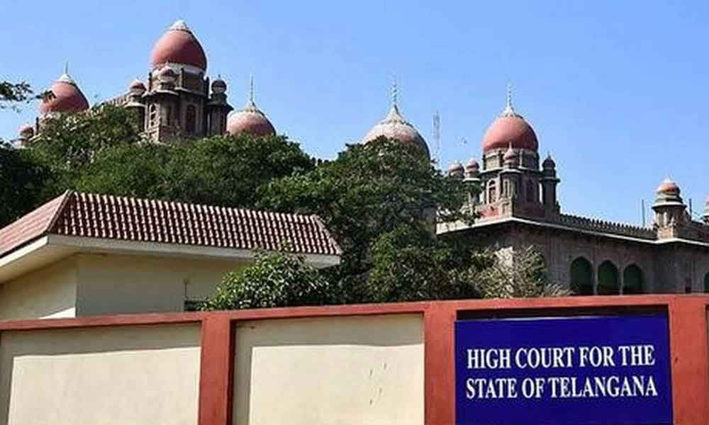 Telangana Government clarifies Dharani issues to High Court