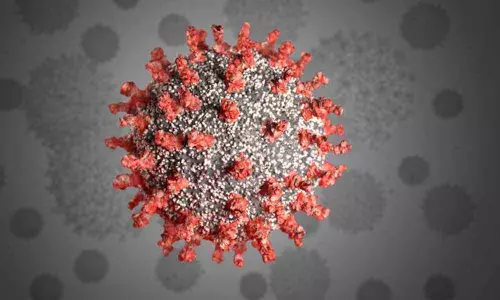 Low death toll in Tamil Nadu but Corona cases continue to climb