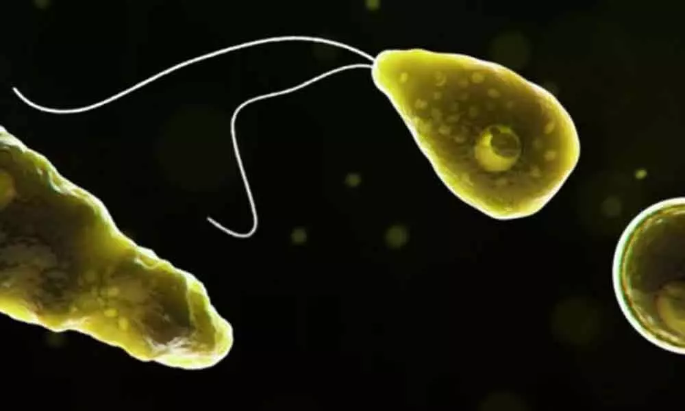 Texas on alert after six-year-old dies due to infection from brain-eating amoeba