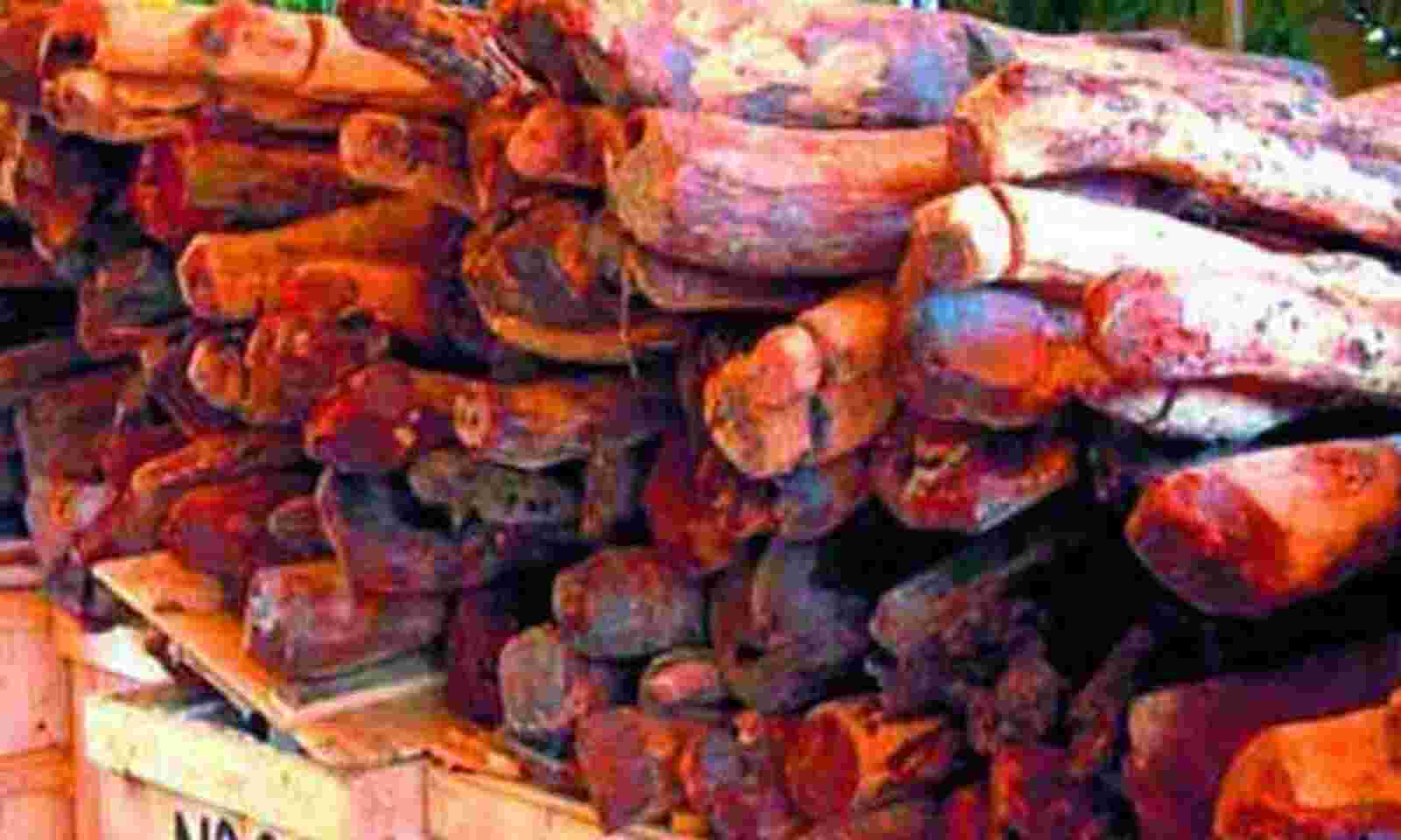 Sandalwood License, Loan in India: Number of Sandalwood Trees, Cultivation  Profit Per Acre, Weight after 10 and 15 Years