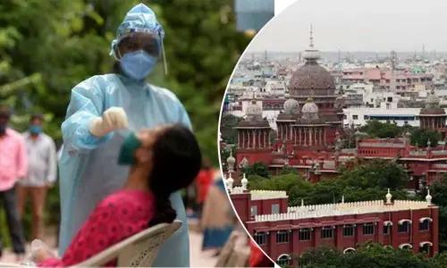 Corona cases high in TN, HC demands action on violators