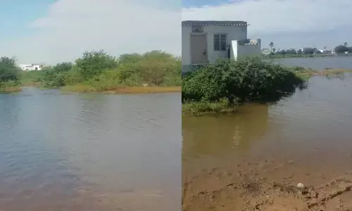 Chintalkunta Cheruvu