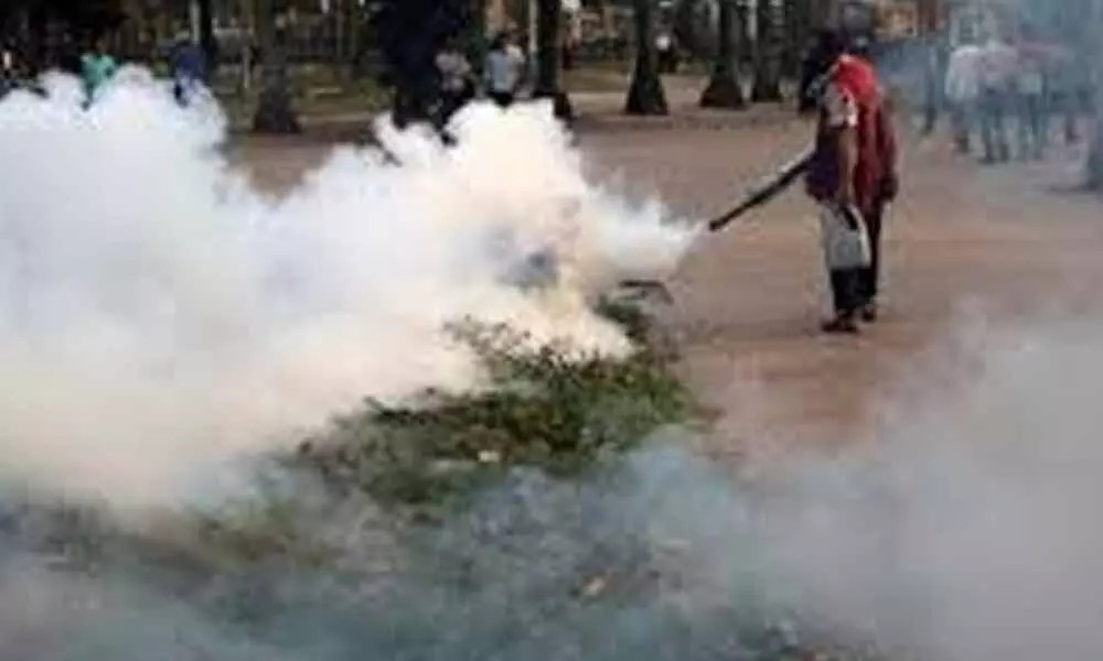 Delhi: Mosquito-borne diseases plummet in NDMC areas