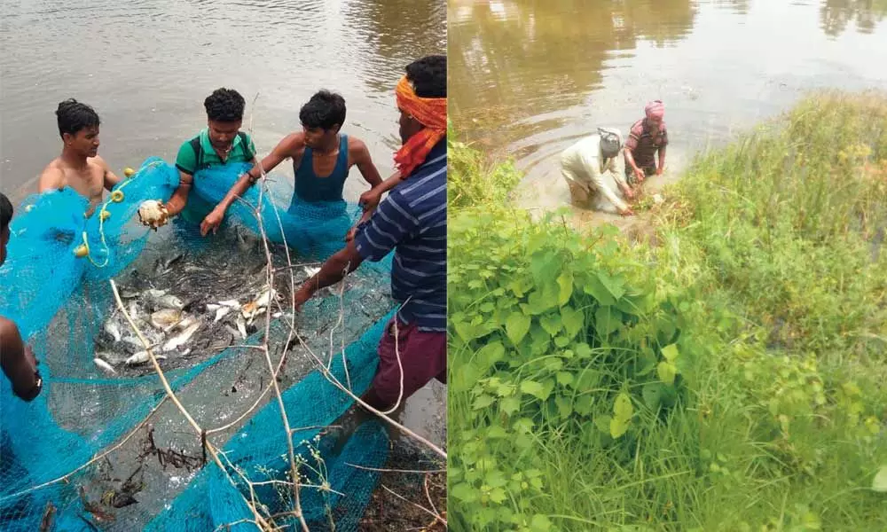 Aahwahan Foundation seeks help from BBMP for cleaning lakes
