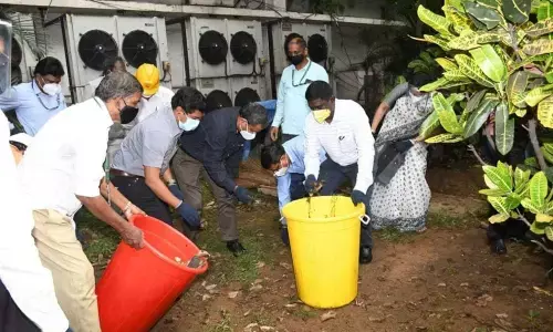 Swachhata Pakhwada