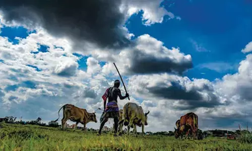 Karnataka farmers to rope in IT-savvy youths for online campaign