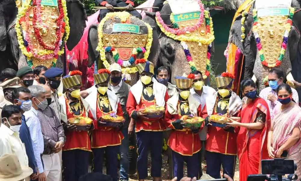 Dasara pachyderms begin their journey from forest after Gajapayana event, arrive at Aranya Bhavan in Mysuru for Dasara