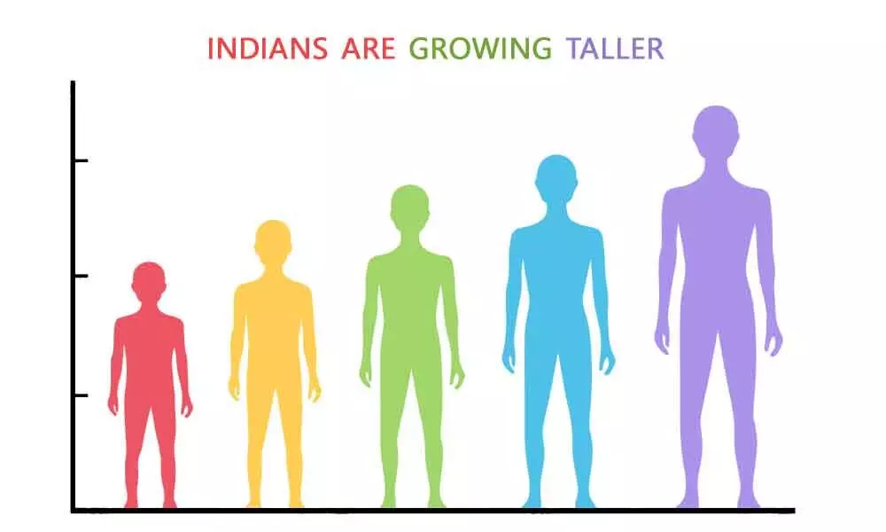 Rising to their Full Height: Indians are Growing Taller