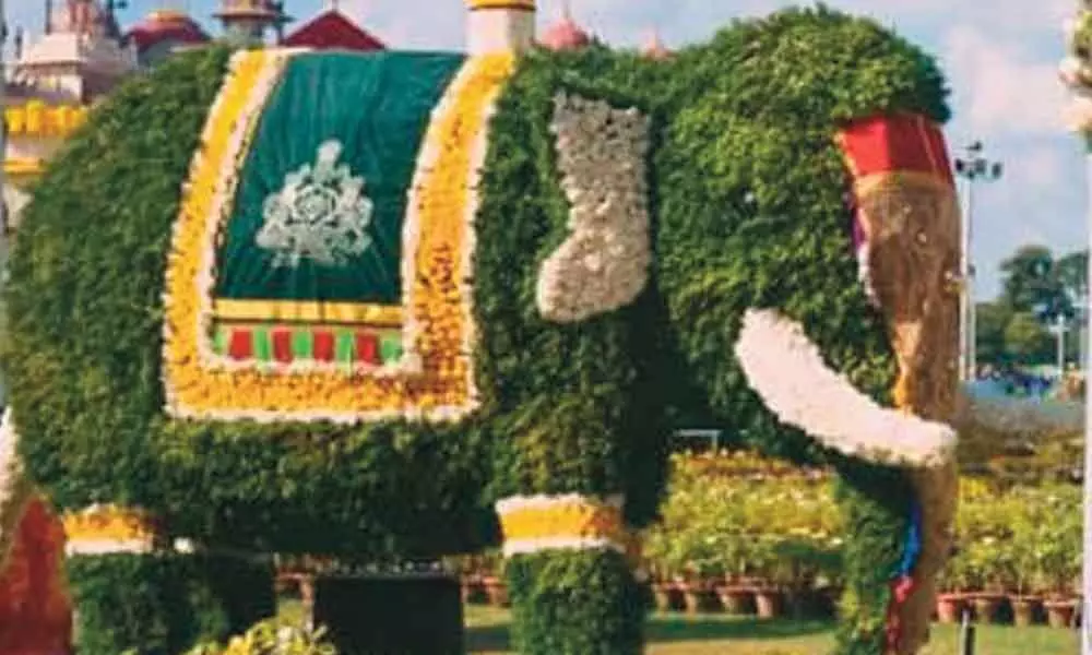 Floral extravaganza at Mysuru palace to welcome Dasara pachyderms