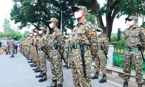 Stop littering, marshal patrol squads on prowl!