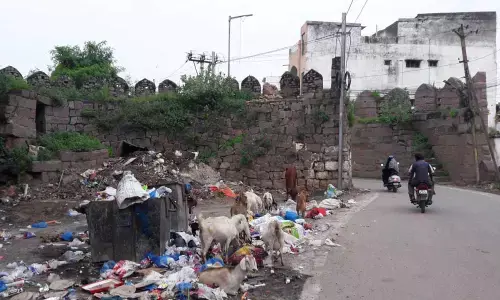 Moti Darwaza wallows in utter neglect, apathy
