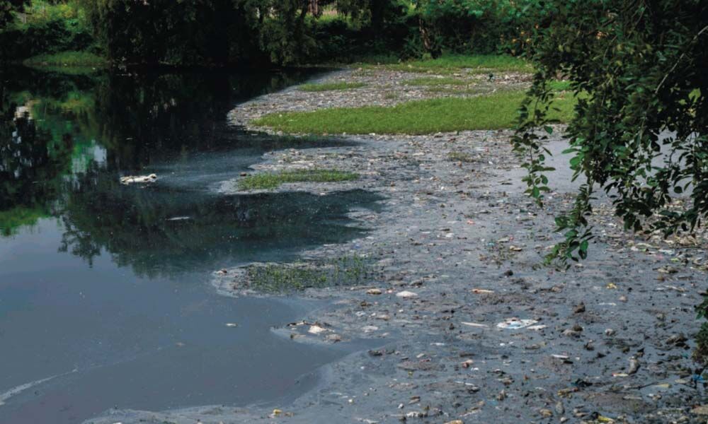 Bengaluru: Industrial effluents, solid waste choke Yarandahalli Lake