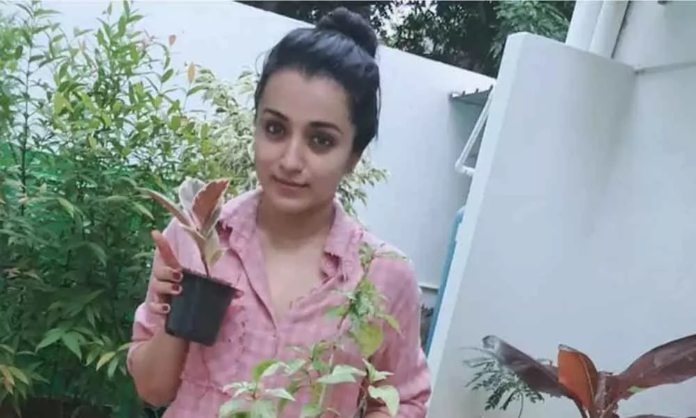 Trisha accepts Prakash Raj’s  Green India Challenge