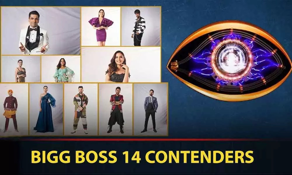 Bigg Boss Hindi Season 14 Contestants