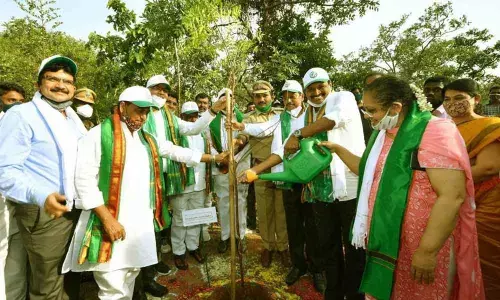 Hetero Pharma to develop 2,543-acre forest area