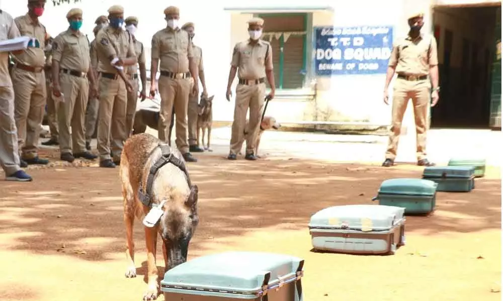 A police dog sniffs out a suitcase during inspection of the dog squads functioning by the Intelligence Wing