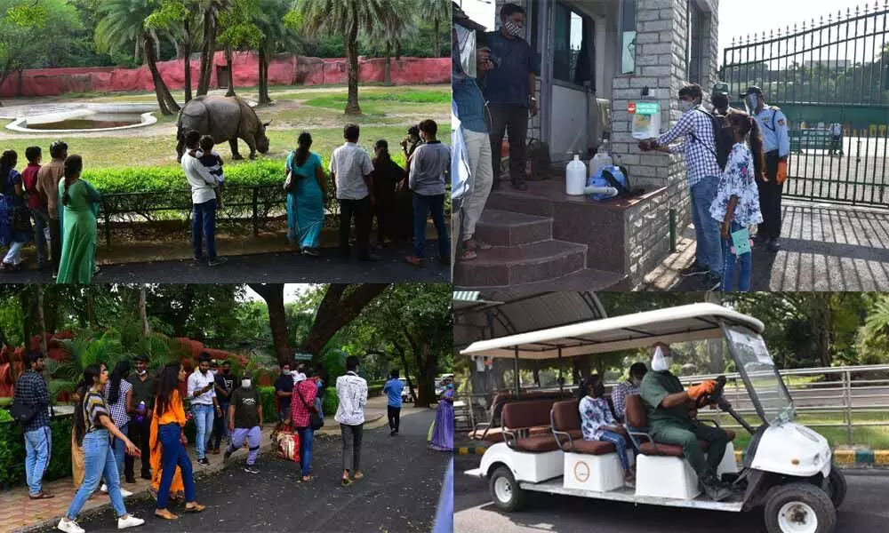 Nehru Zoological Park in Hyderabad