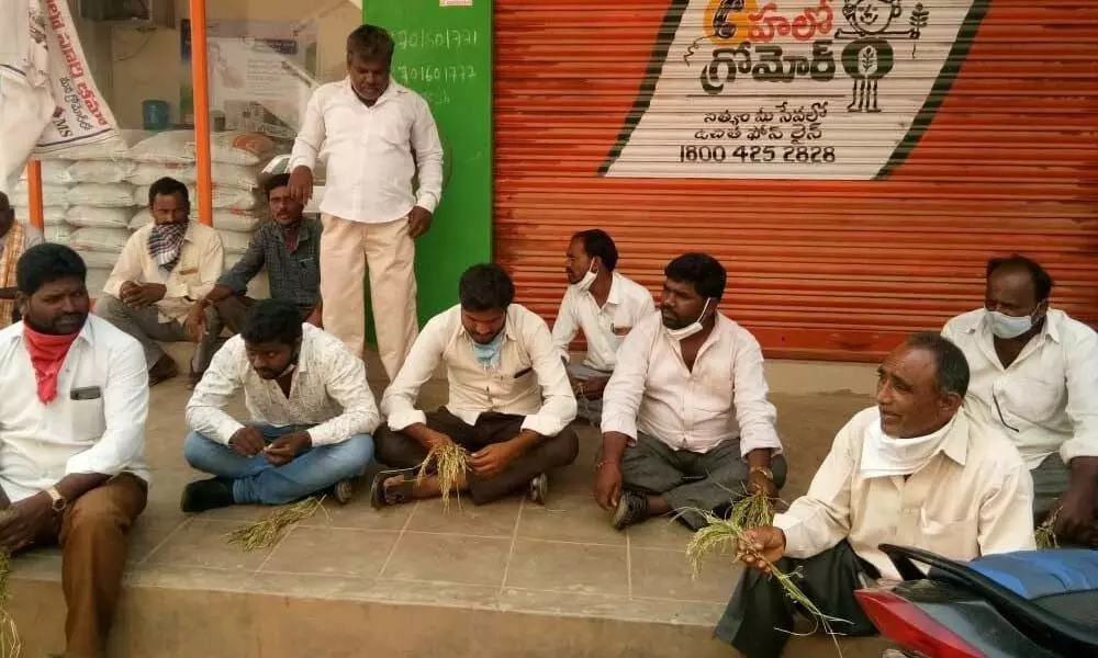 Telangana Rythu Sangam, farmers stage protest over unauthentic seeds