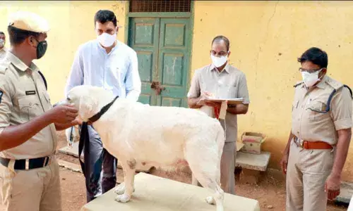 AP ISWI officials inspect Tirupati police dogs squad unit as part of regular duties