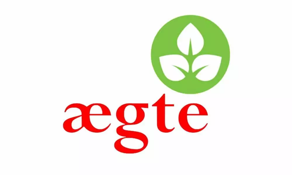 Pimple Prone Skin? Try Aegte Anti Acne Gel, the proven treatment