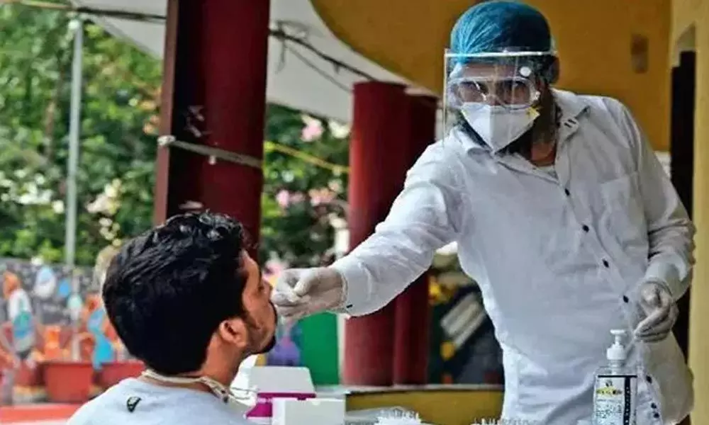 World Bank lauds efforts to control coronavirus in Dharavi