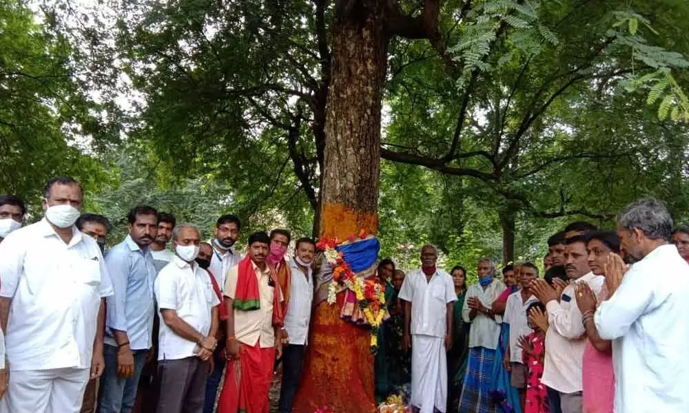 Officials and locals performing puja to the tree, which will be carved into Sirimanu at Balarampur village in Vizianagaram district