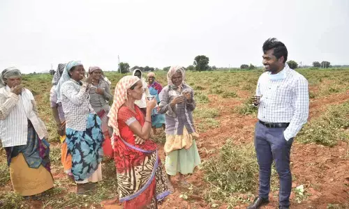 Groundnut farmers