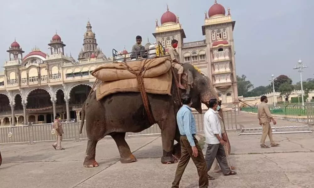 Abhimanyu begins weight training at Mysuru Palace on Thursday