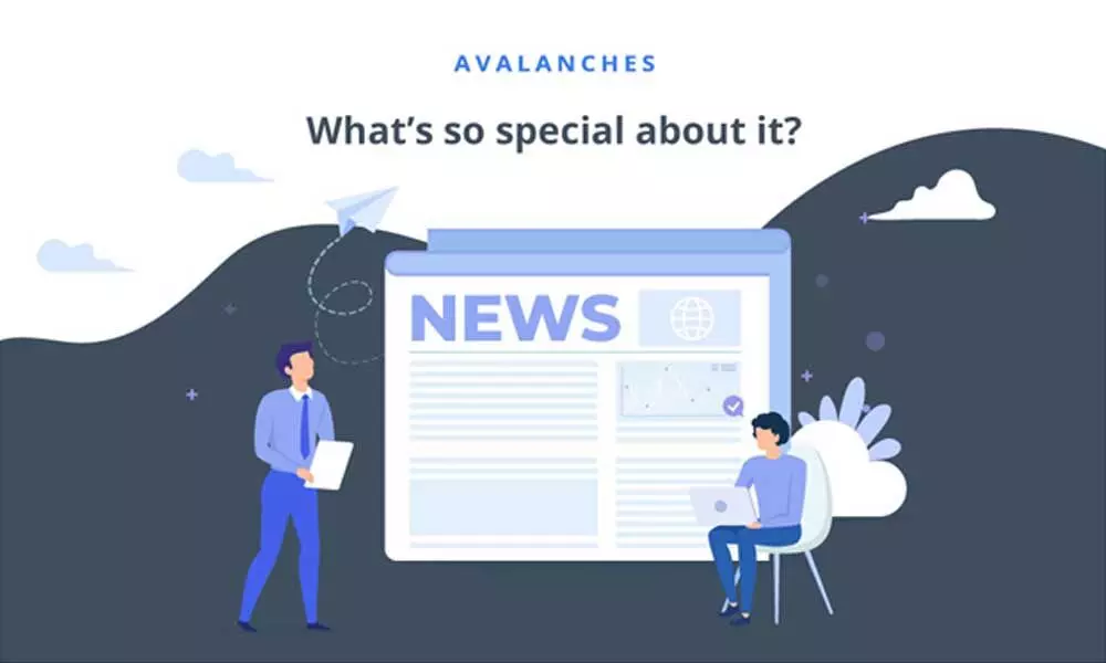 Avalanches – new and unique way to learn what is happening worldwide