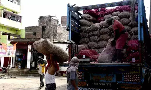 Export of certain onion varieties in limited quantities allowed