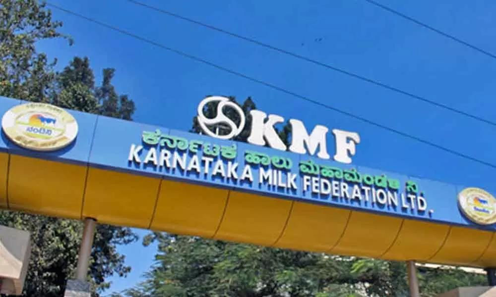 Farmers angry as Karnataka Milk Federation buys corn from middlemen