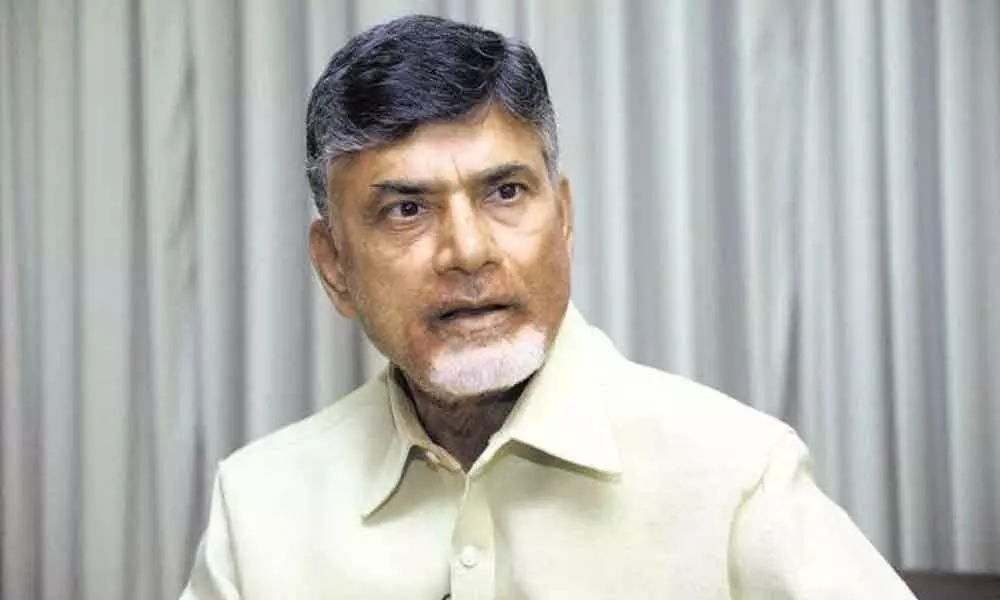 TDP national president and former chief minister N Chandrababu Naidu