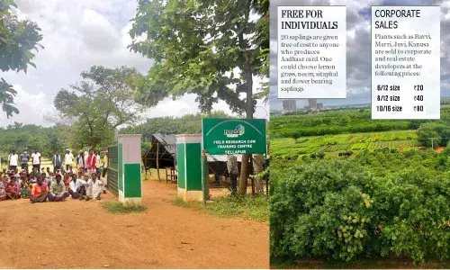 Green Warriors see red, go on strike in Hyderabad