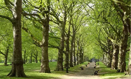 An emerald that changed landscape of Telangana