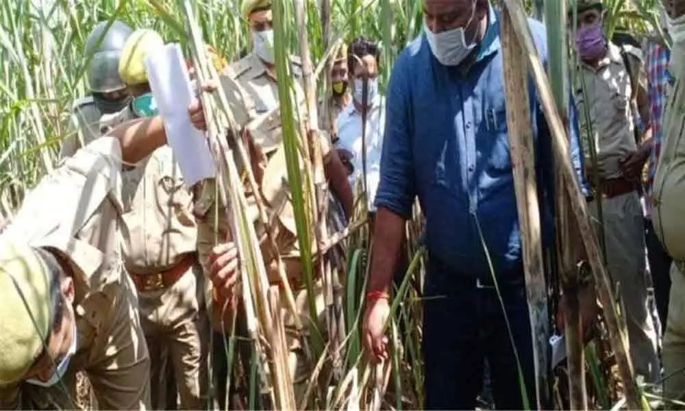 Missing UP girl found dead in sugarcane field