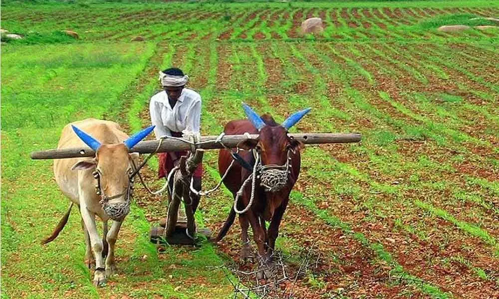 Supreme Court seeks Centre’s reply on pleas challenging Farm Laws