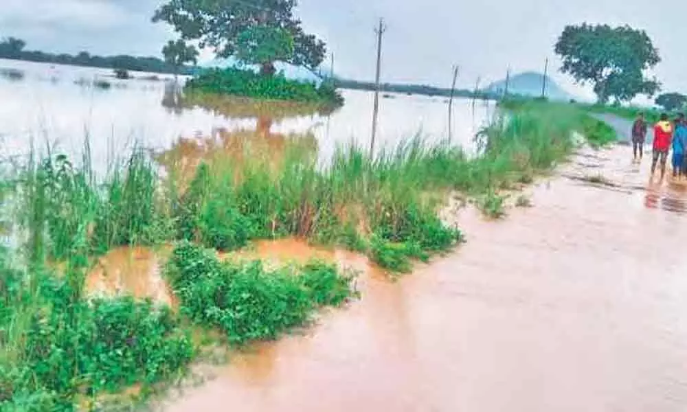 Agriculture fields submerged in Guntur due to heavy rains in the state