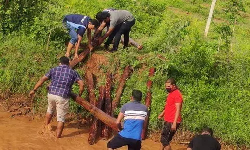 Task Force retrieving red sander