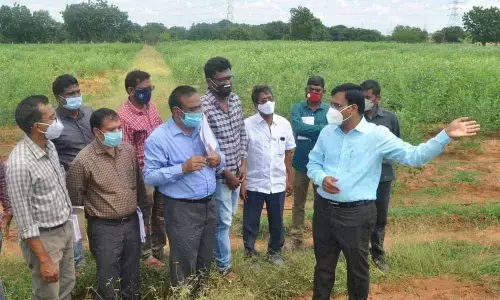 District Collector KVN Chakradhar Babu
