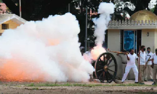Elephants familiarised with cannon shots