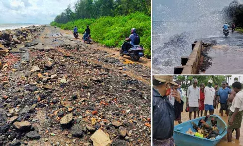 The badly damaged Kakinada-Uppada road(Left); Rough sea at Kakinada shore and waves touch Kakinada-Uppada road (Right-Top); Poultry being shifted to safer place in local boat at Domada village of Pedapudi mandal (Right-Bottom)