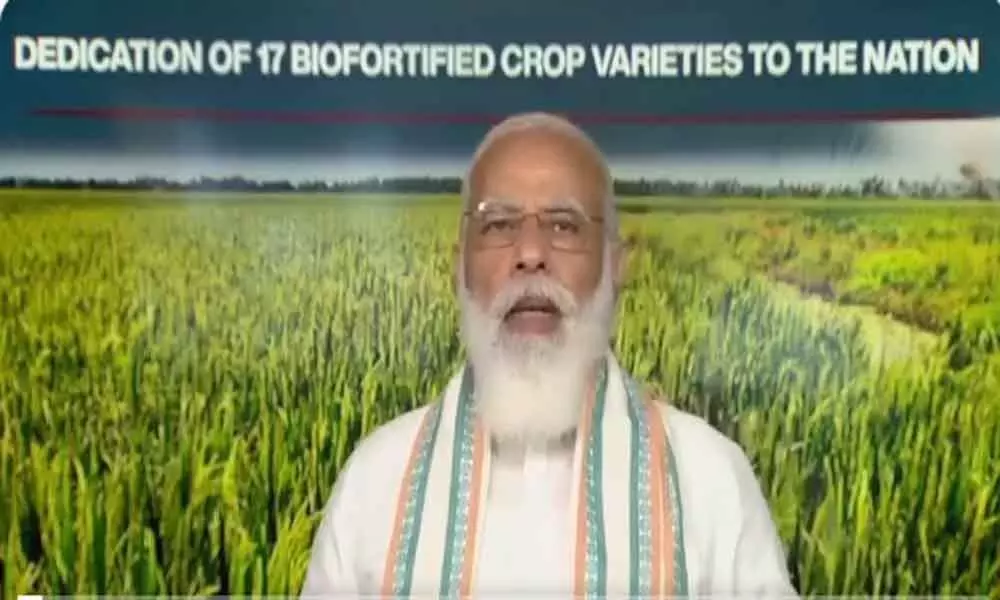 MSP, government procurement important part of countrys food security: PM Modi
