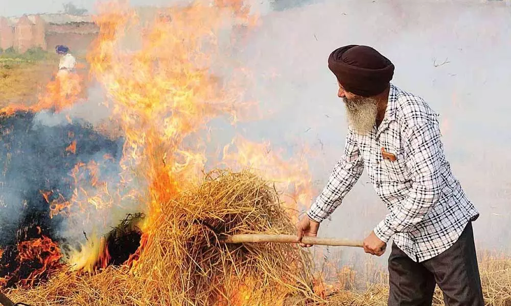 Supreme Court appoints former judge to monitor stubble burning