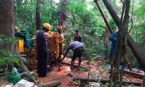 No lion-tailed macaques in Sharavathi project area: KPCL