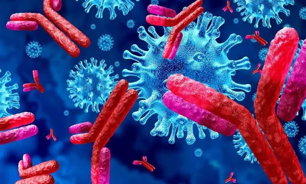 In recovering Coronavirus patients, antibodies fade quickly: Study