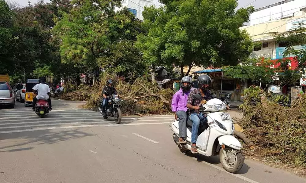 Uprooted trees give tough time to motorists