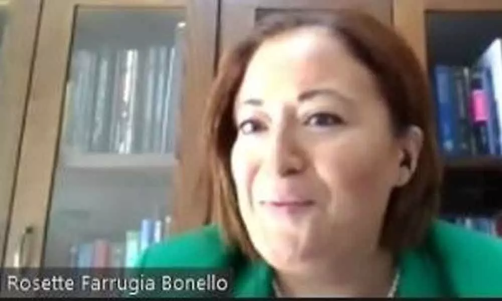 Rosette Farrugia Bonello, Deputy Director of UN affiliated International Institute on Ageing (INIA), speaking at a virtual session