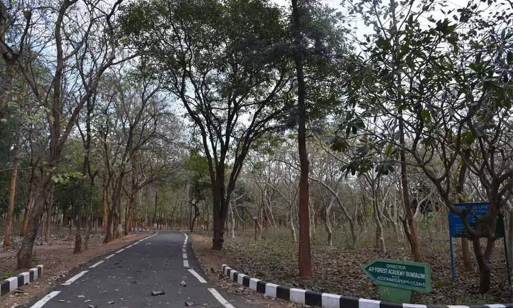 Andhra Pradesh Forest Academy