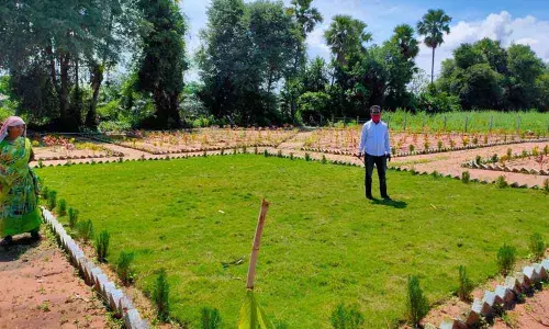 Palle Prakruthi Vanam in Peddagollagudem gram panchayat under Dammapeta mandal in Kothagudem district